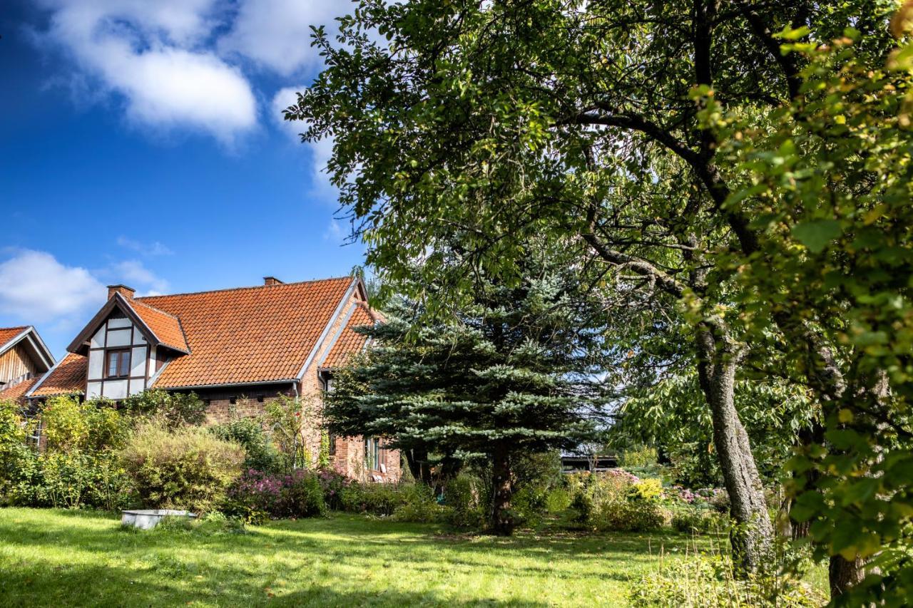 Apartamento Blossom Hill Lecze