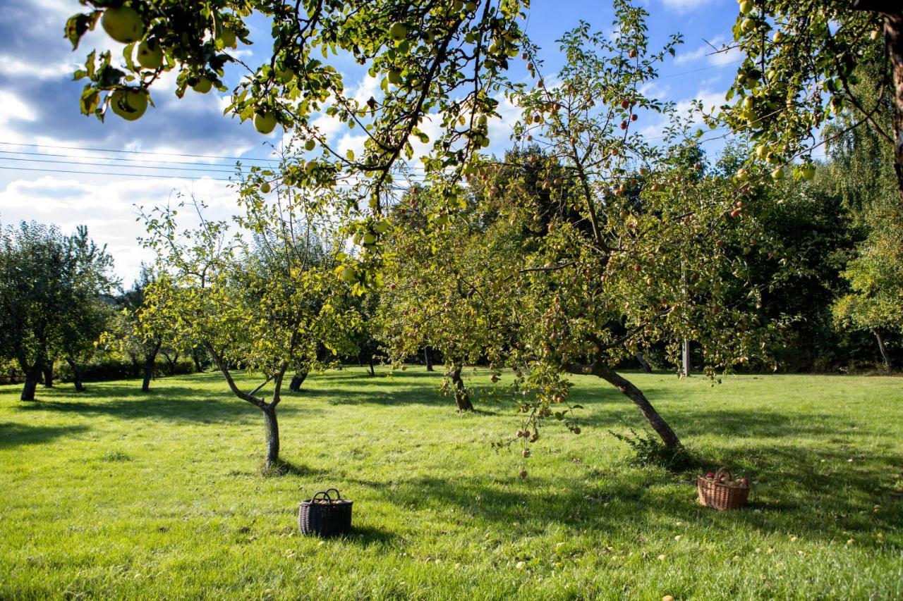 Blossom Hill *