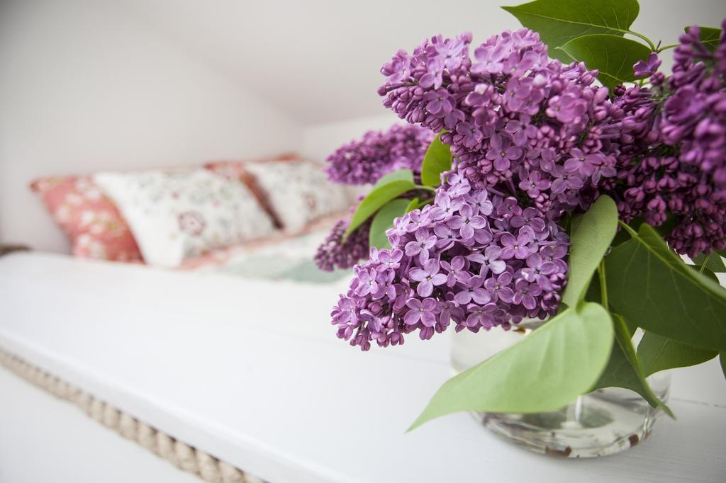 Apartment Blossom Hill