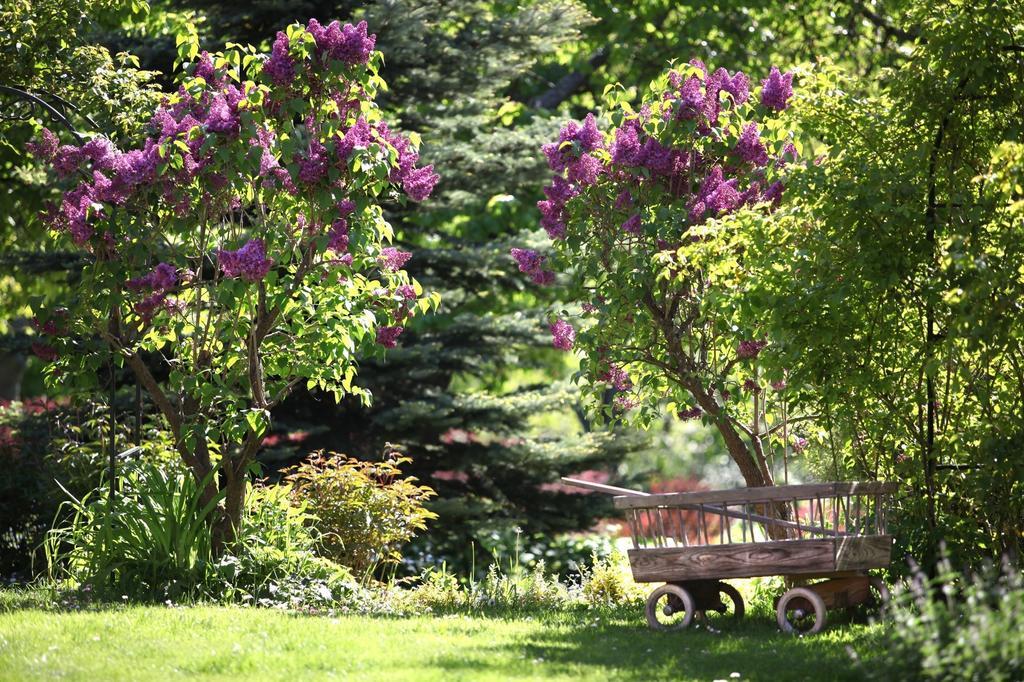 Apartamento Blossom Hill