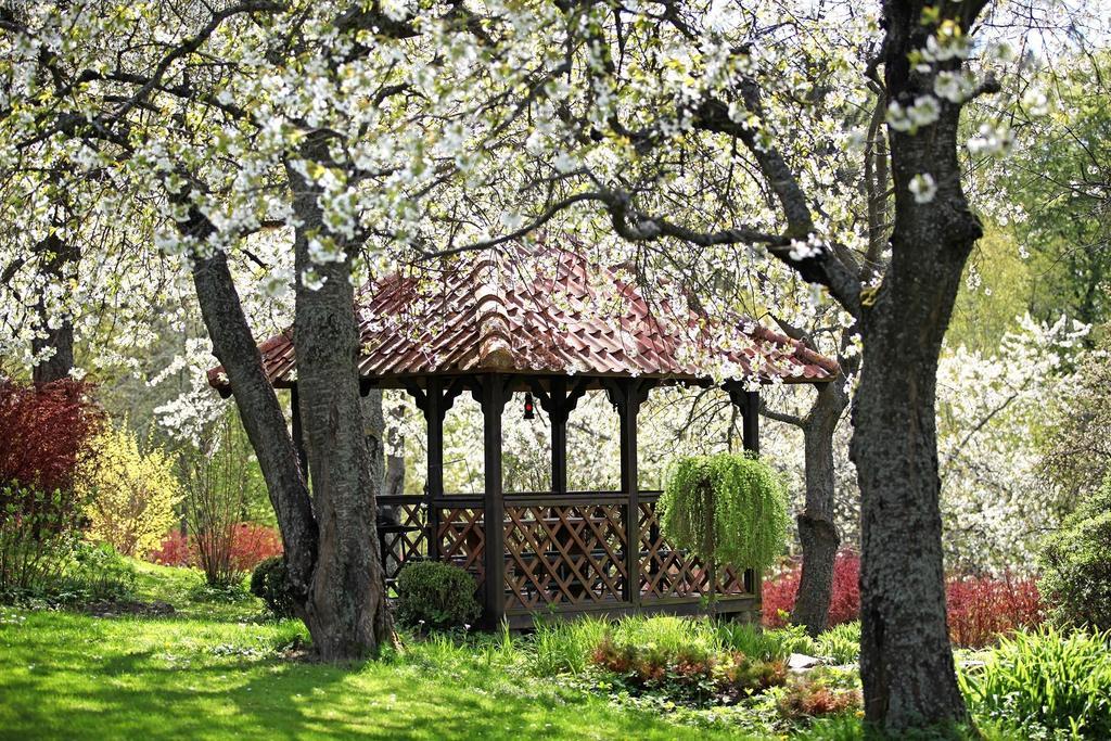 Apartamento Blossom Hill