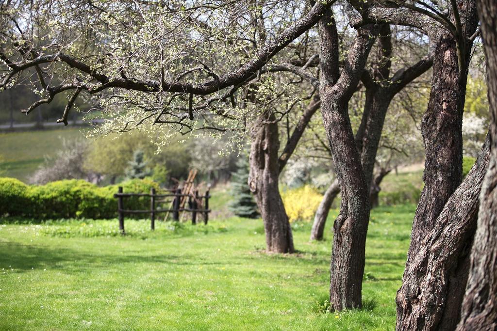 Apartamento Blossom Hill Lecze